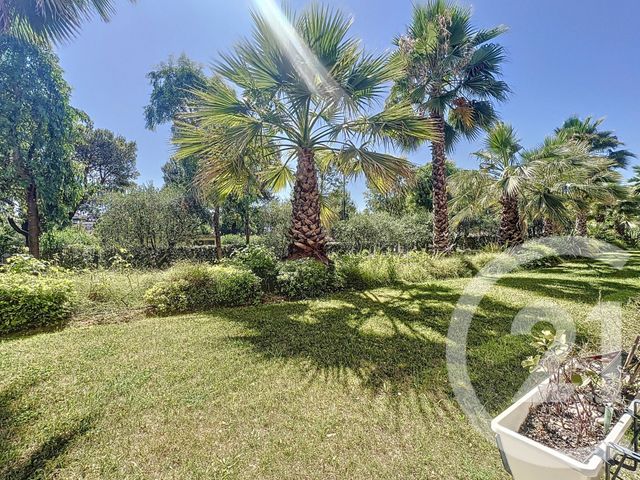 appartement - CAGNES SUR MER - 06
